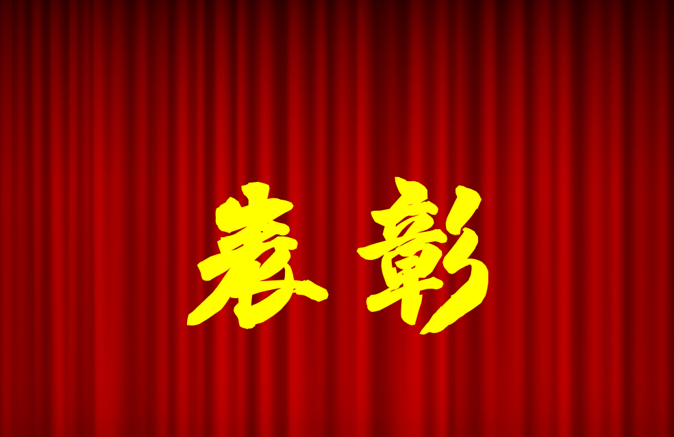 逐光前行、榮耀共鑒 | 公司2024年度表彰來(lái)啦！